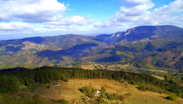ТОРНИЧКА БОБИЈА